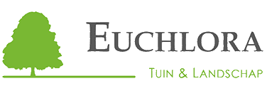 Euchlora